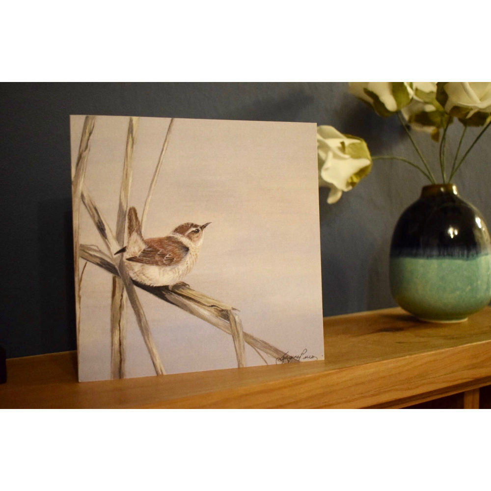 birds-cards-jenny-wren-6x6