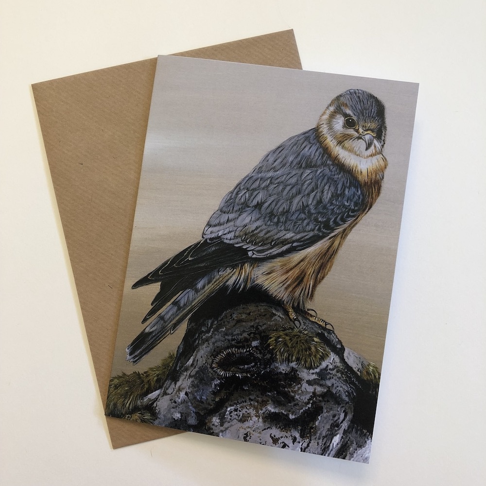 birds-cards-merlin-aspen-7x5