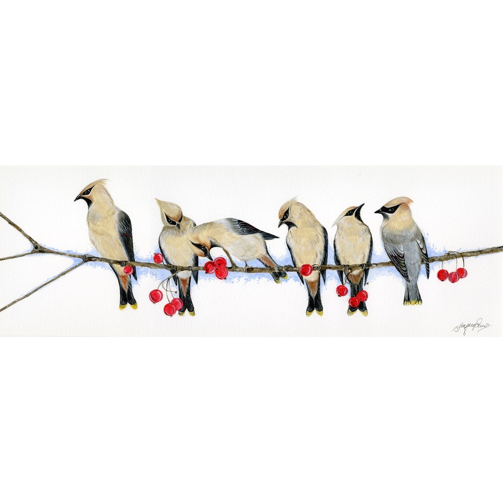 birds-fine-art-prints-waxwings-suzanne-perry-art-059_1022490913