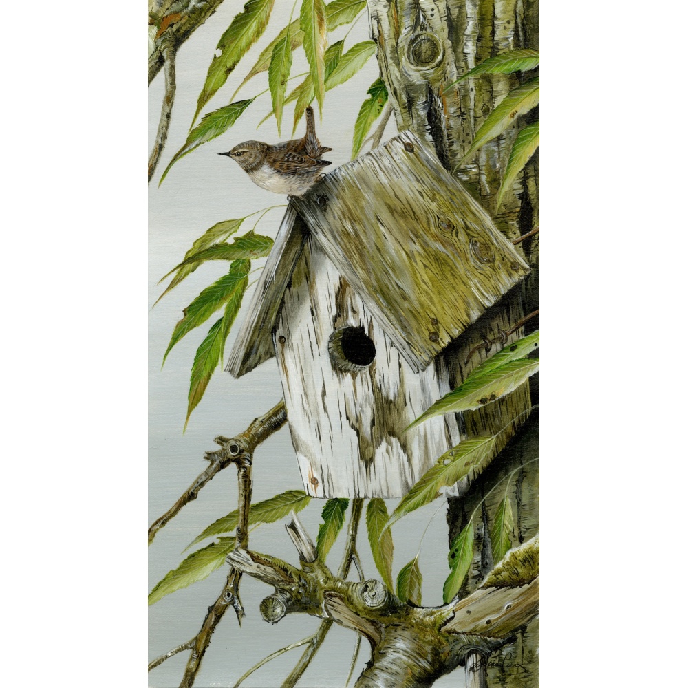 birds-fine-art-prints-wren-christopher-suzanne-perry-art-231