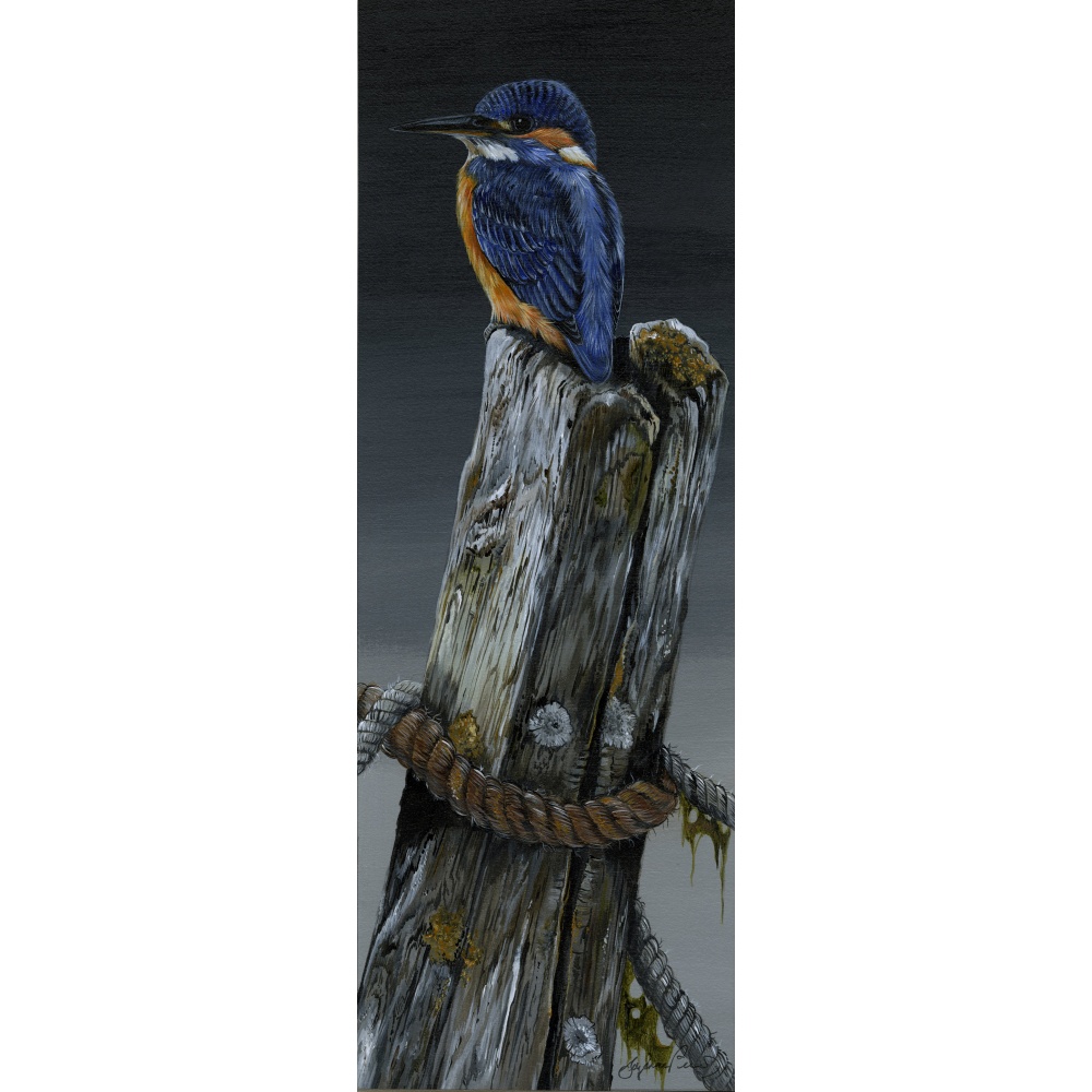 water-and-coastal-birds-paintings-kingfisher-suzanne-perry-art-5029