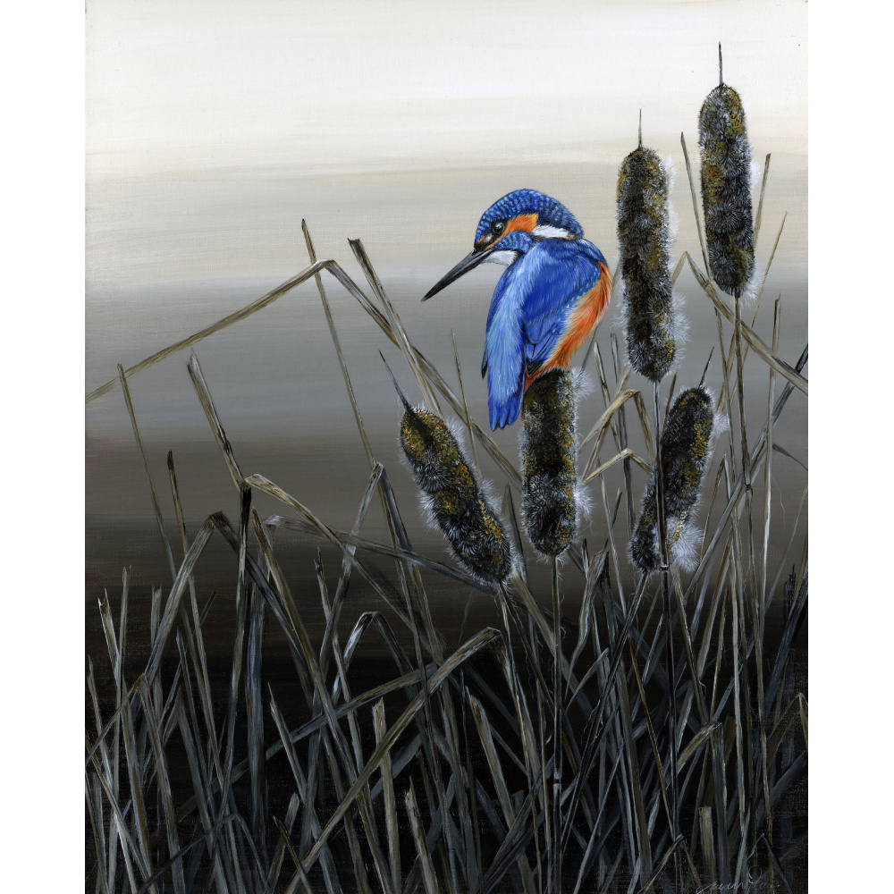 water-and_coastal-king-of-the-reeds-spart-413_1584066928