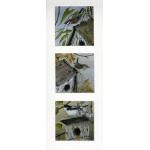 garden-birds-paintings-nesting-threes-suzanne-perry-art-275