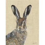 hare_-_barley-canvas-316_website